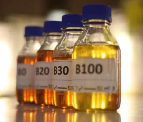 zenithbleachingearth.com