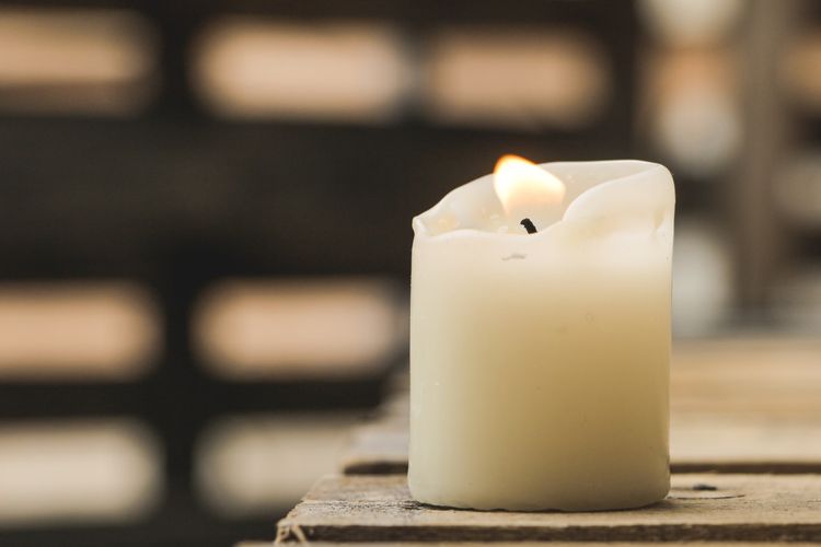 zenithbleachingearth.com